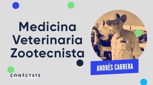 Armstrong - Blog - Entrevista a un veterinario: Andrés Cabrera